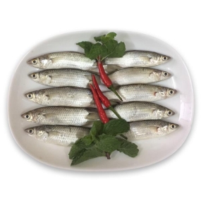 CÁ LINH