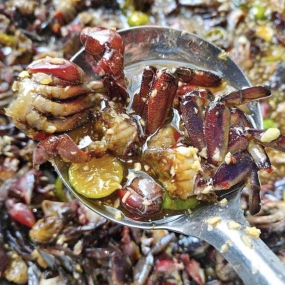 BA KHÍA TRỘN