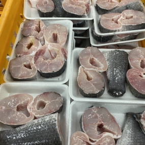 CÁ LÓC CẮT KHÚC