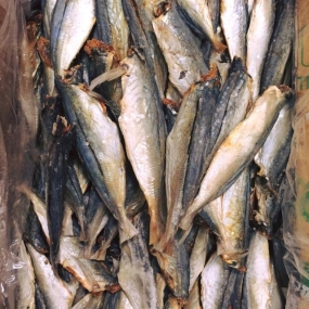 KHÔ CÁ NỤC