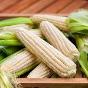BẮP NẾP